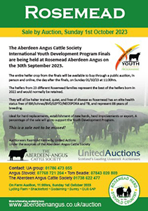 Auction leaflet
