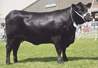 Rosemead Ekim F617