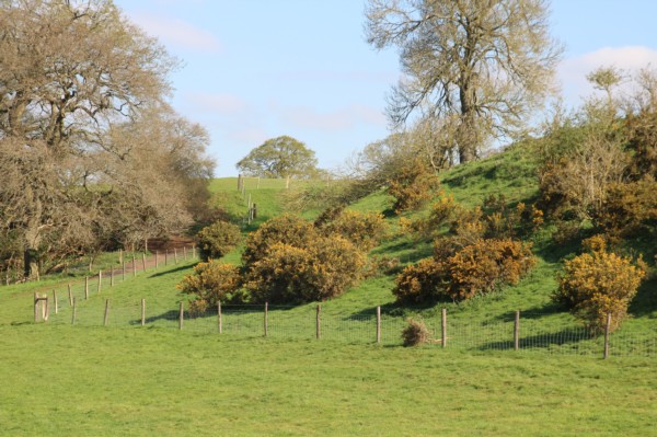 Protection of downland