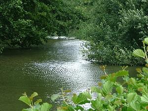 Lydling Lake