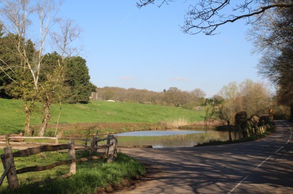 Pond restoration