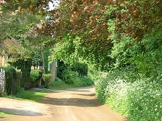 Lydling Lane
